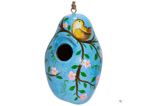 Lucuma Designs Bird Painted Gourd Birdhouse   Lucuma Designs Bird Painted Gourd Birdhouse