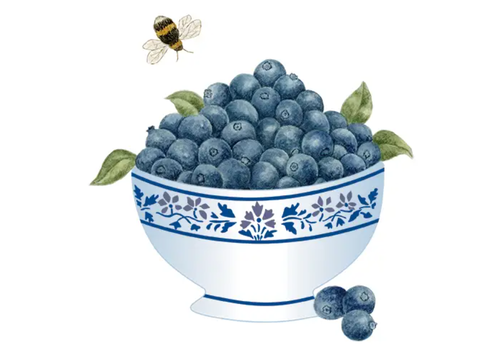  Alice's Cottage Flour Sack Towel Blueberry Bowl 