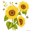 Alice's Cottage Flour Sack Towel Sunflowers