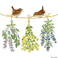 Flour Sack Towel Hanging Herbs