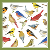 Alice's Cottage Flour Sack Towel Birds
