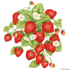 Alice's Cottage Flour Sack Towel Strawberries