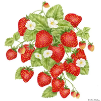 Flour Sack Towel Strawberries