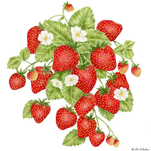  Alice's Cottage Flour Sack Towel Strawberries 
