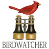 Alice's Cottage Flour Sack Towel Birdwatcher Cardinal