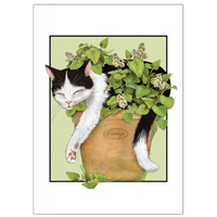 Catnip Cat Birthday Card