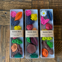 Nature Bugs Crayon Set