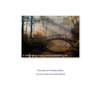 Borealis Press The Loss Is Immeasurable Card