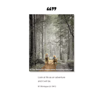 Look At Life Card