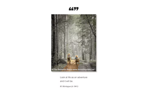  Borealis Press Look At Life Card 