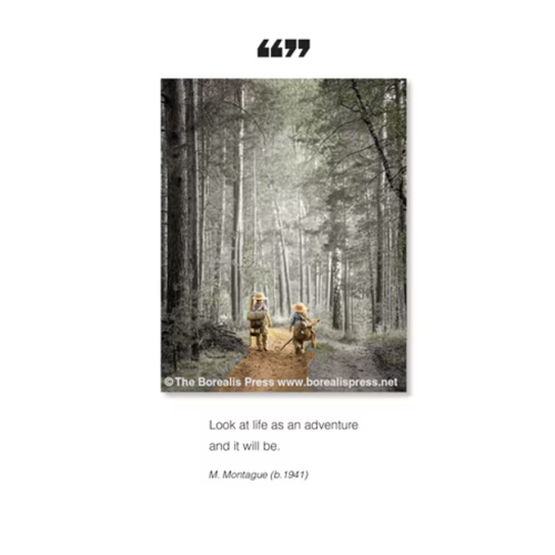  Borealis Press Look At Life Card 