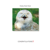 Borealis Press Hooty Hoot Hoot Card
