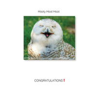 Hooty Hoot Hoot Card