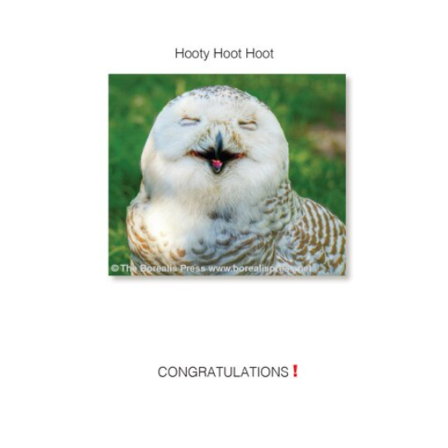Hooty Hoot Hoot Card