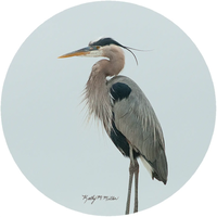 Heron Jar Opener