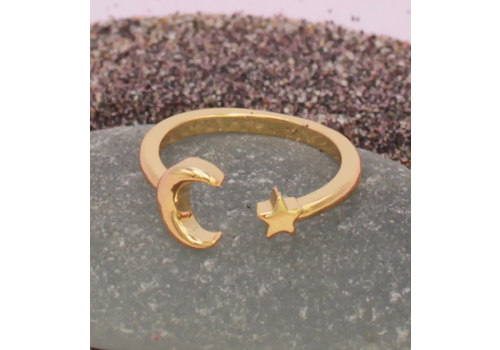  ZAD Gold Star Moon Adjustable Toe Ring 