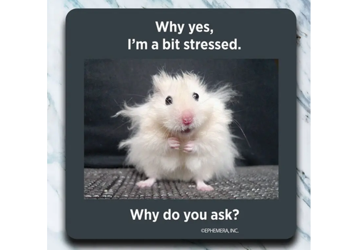  High Cotton Gifts A Bit Stressed Coaster 