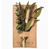 Andaluca Harvest Eucalyptus Mini Bouquet