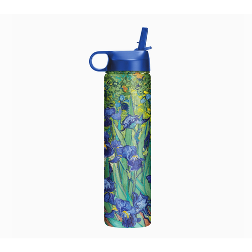  Raincaper Stainless Insulated 24 oz Tumbler Van Gogh Irises 