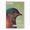 The Mincing Mockingbird Warning Signs Magnet