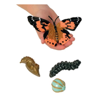 Butterfly Life Cycle Figurines