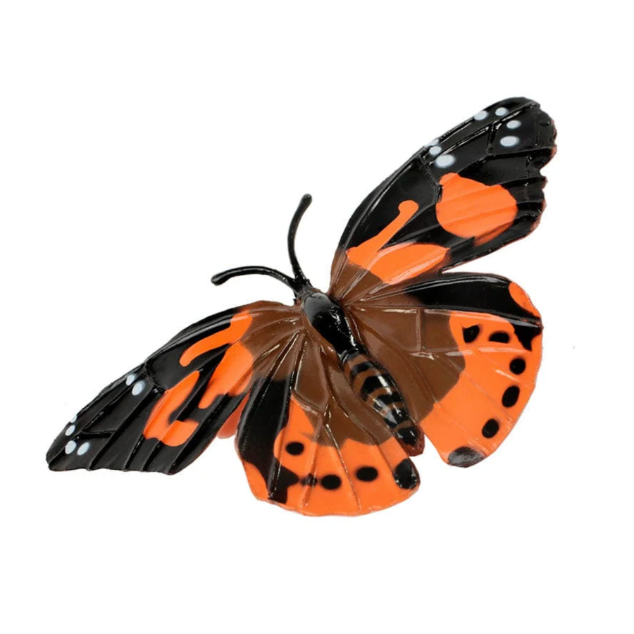 Butterfly Life Cycle Figurines