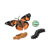 Butterfly Life Cycle Figurines