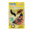 Insect Lore Butterfly Life Cycle Figurines