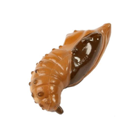 Butterfly Life Cycle Figurines