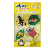 Ladybug Life Cycle Figurines