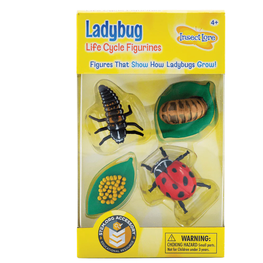 Ladybug Life Cycle Figurines