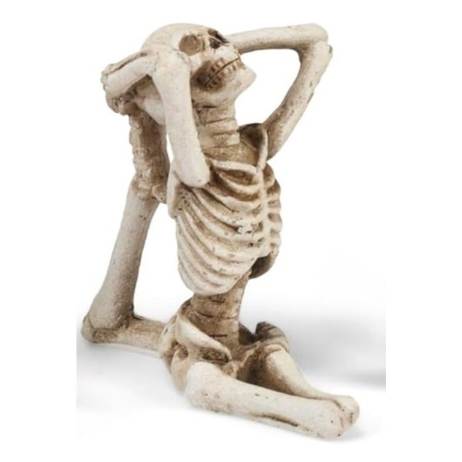 Yoga Skeleton