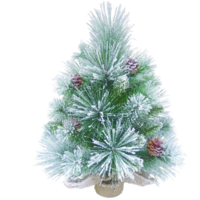 Large Winter Pinecone Tree in Burlap