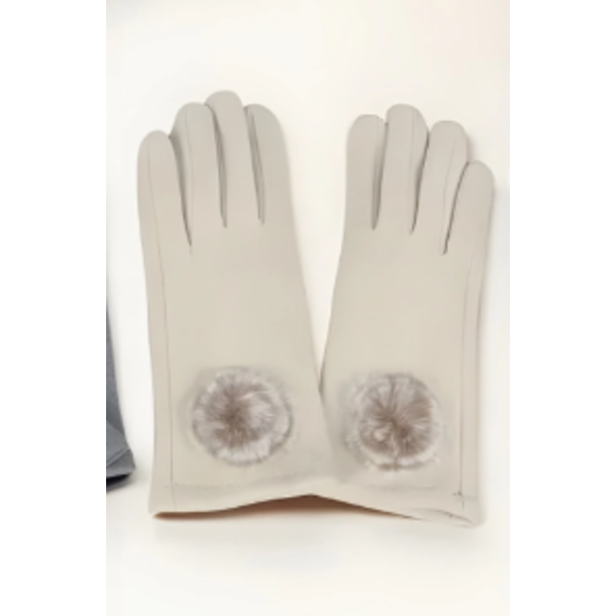 Gloves with Fur Accent