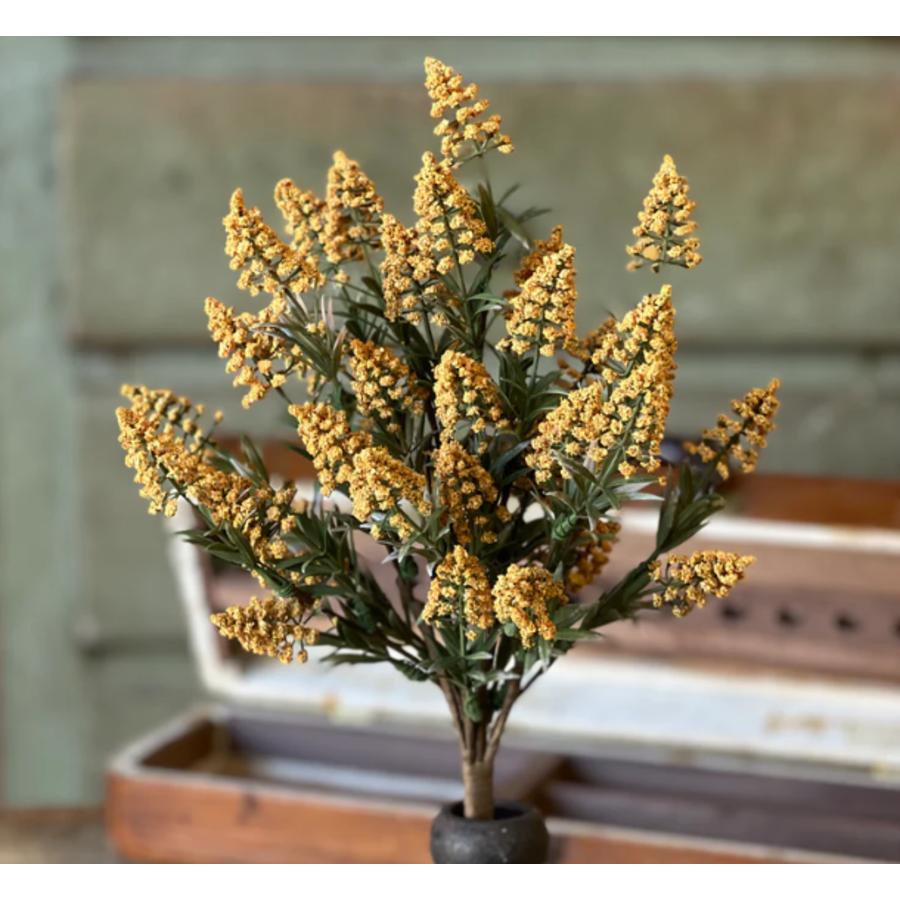 Fenwick Buds Bush 17"