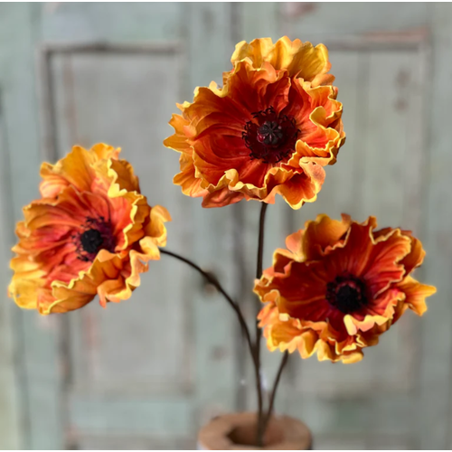  Pomelo Poppies 29" Flame 