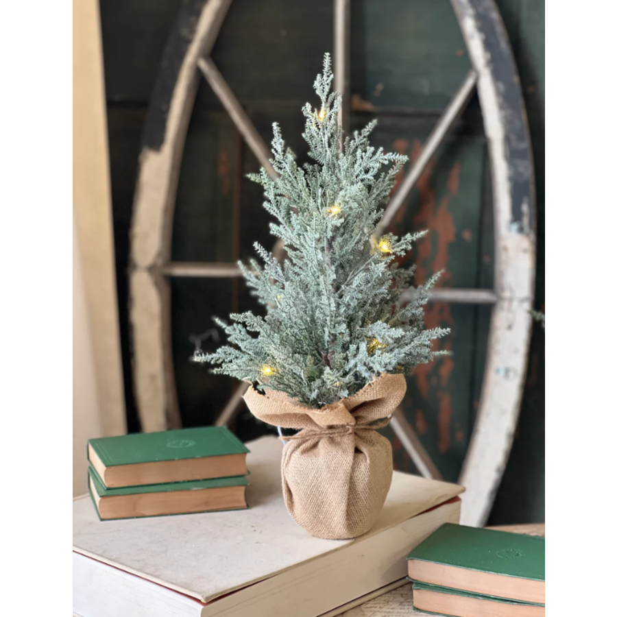 Celestial Cedar Tree with Lights