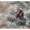 Star Pinecone Ornament Star Pinecone Ornament