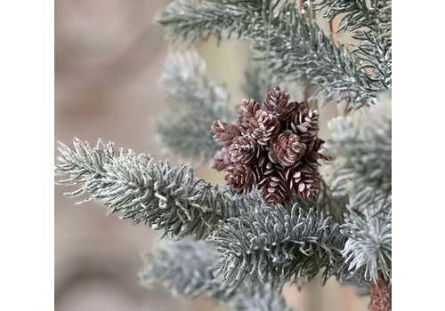  Star Pinecone Ornament 
