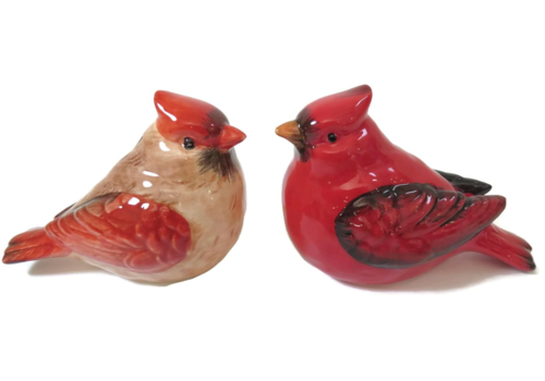  Cardinal Salt and Pepper Set of 2 