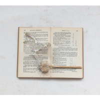 Faceted Hummingbird Ornament with  Gold Glitter