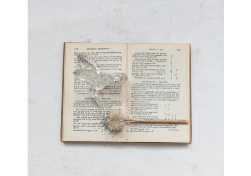  Creative Co-Op Faceted Hummingbird Ornament with  Gold Glitter 