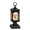9.5" Cardinal on Sign Lighted Water Lantern