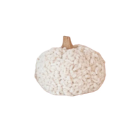 Pumpkin with Wood Stem