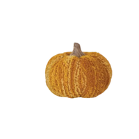 Pumpkin with Wood Stem