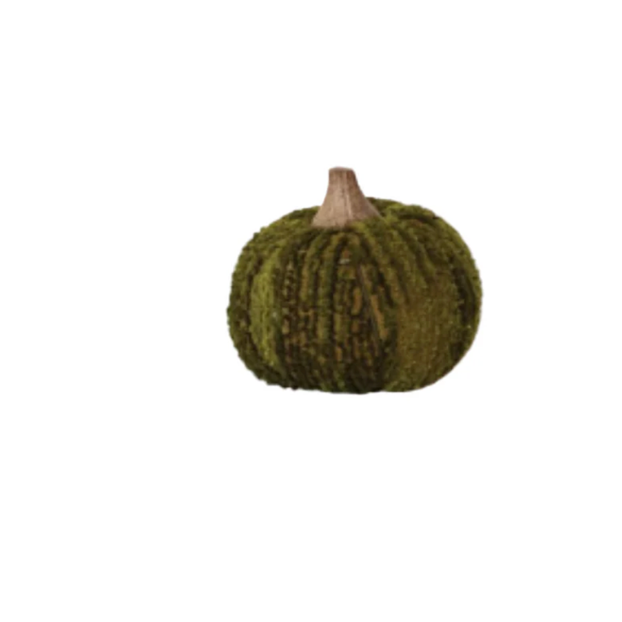 Pumpkin with Wood Stem