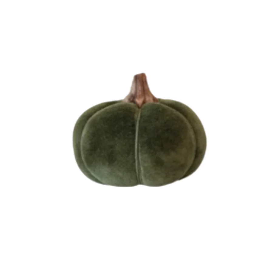 Pumpkin with Wood Stem