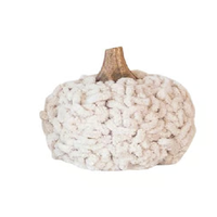 Pumpkin with Wood Stem