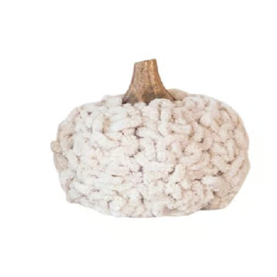 Pumpkin with Wood Stem