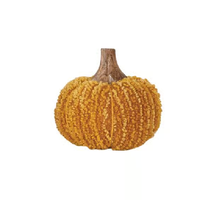 Pumpkin with Wood Stem
